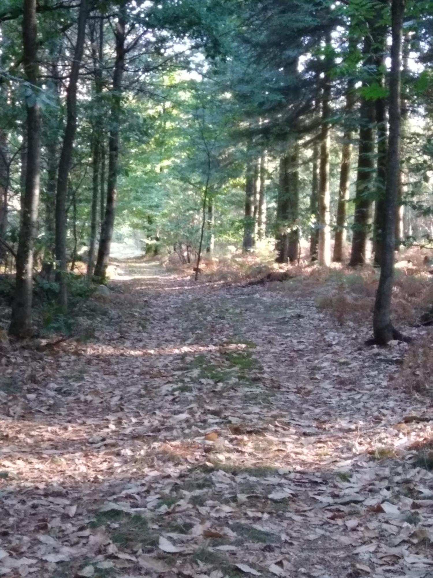 La Grange Hébergement de vacances *